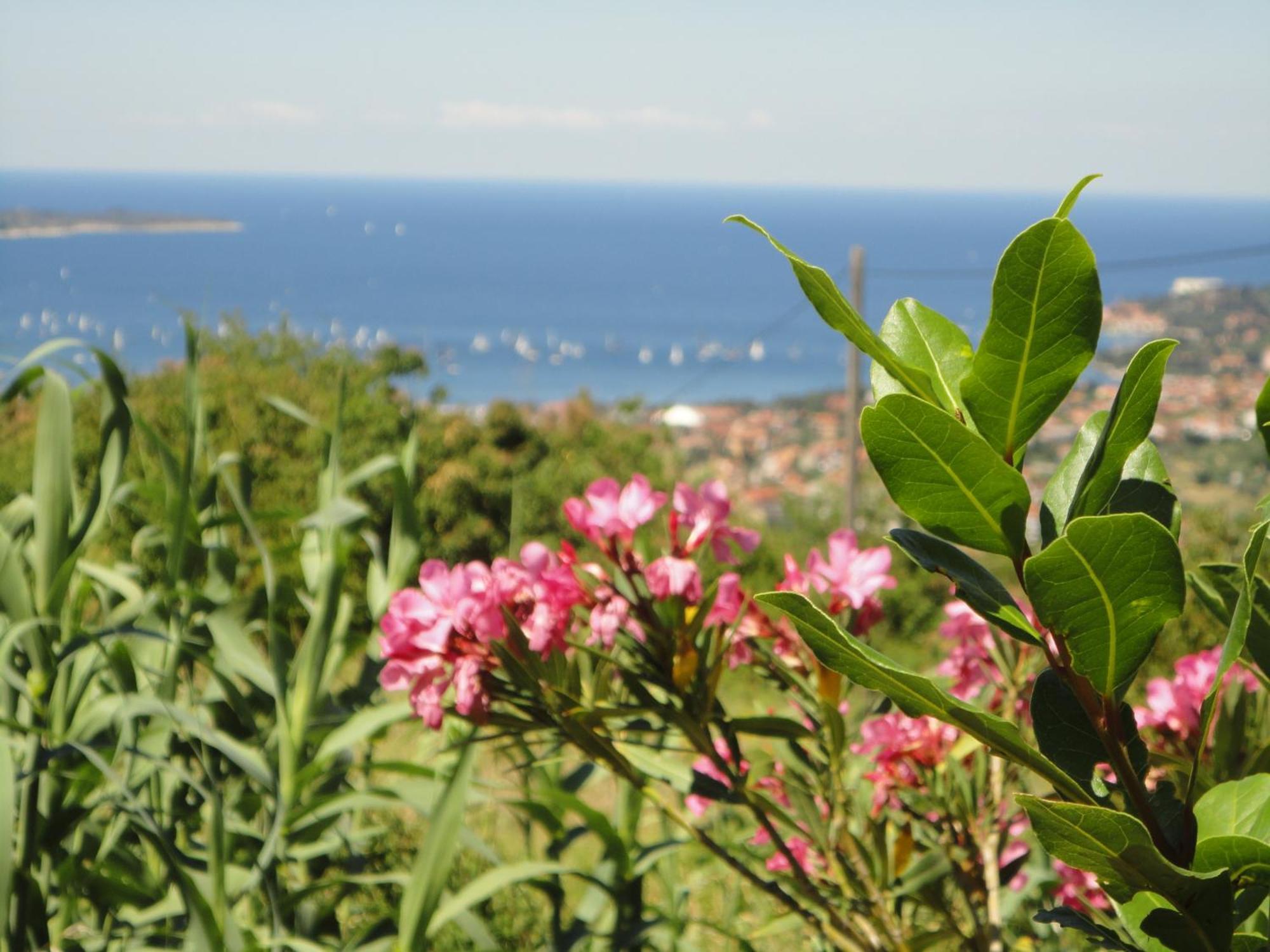 Apartments Ritosa Izola Εξωτερικό φωτογραφία