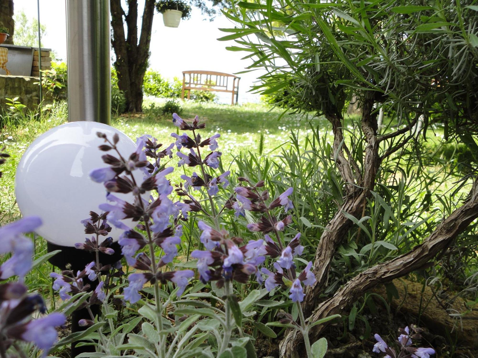 Apartments Ritosa Izola Εξωτερικό φωτογραφία